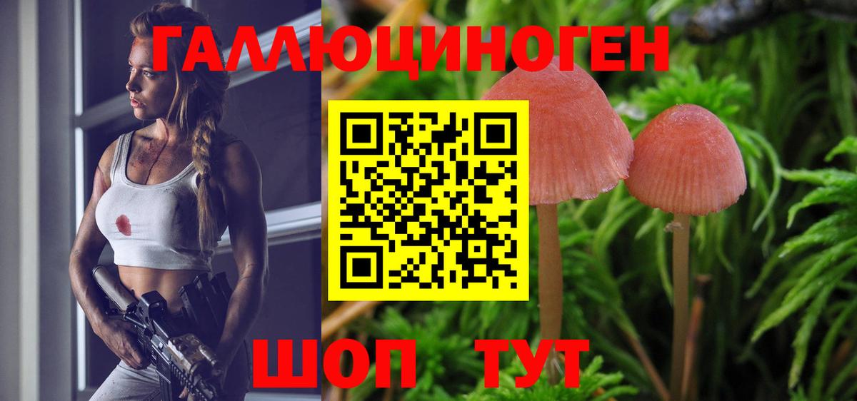 Галлюциногенные грибы Cubensis Асбест